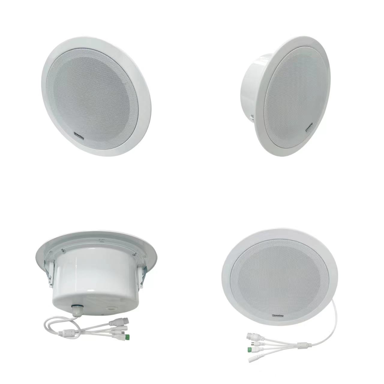 30W IP Ceiling Speaker